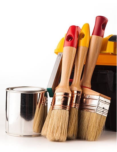 natural bristle brushes