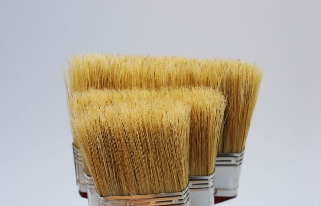 bristle paint brush