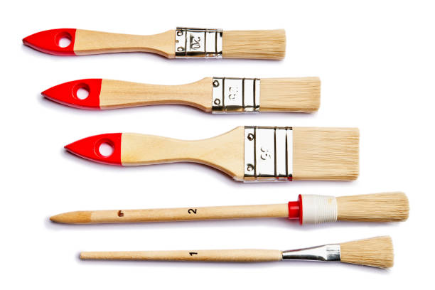 paint brushes in various shapes and sizes